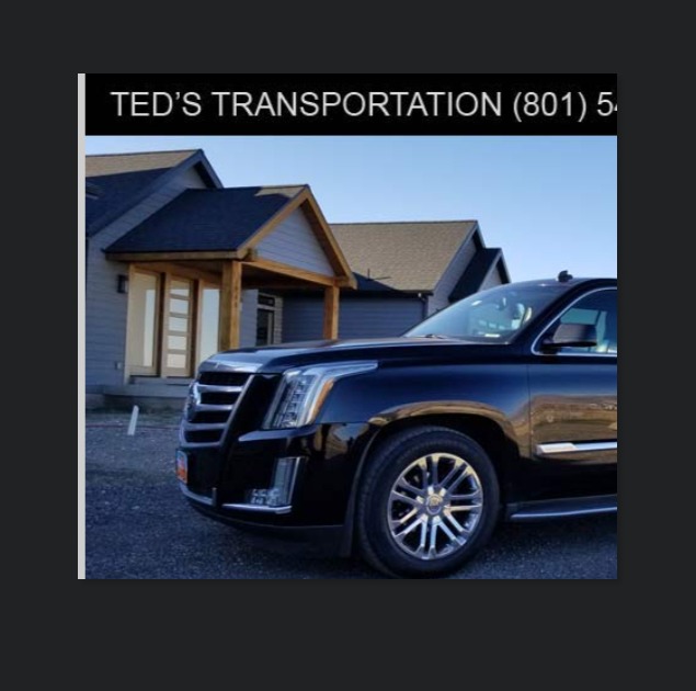 Ted's Transportation Car and Limo Services reviews