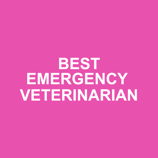 Levan Road Veterinary Hospital photo