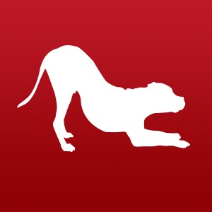 School For The Dogs reviews