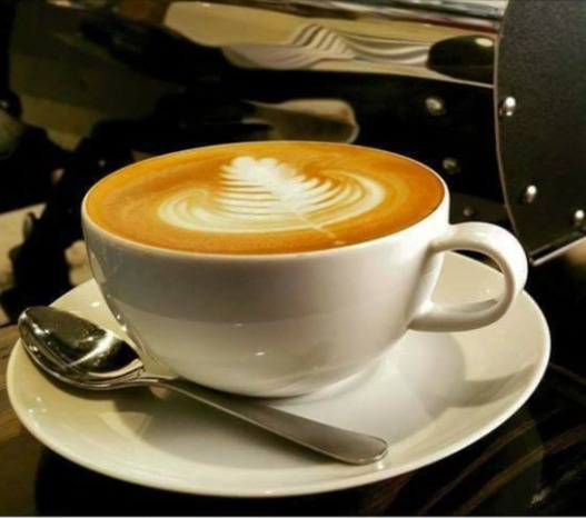 caffe d'bolla reviews