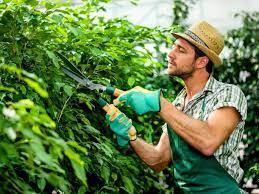 Fort Worth Botanic Garden reviews