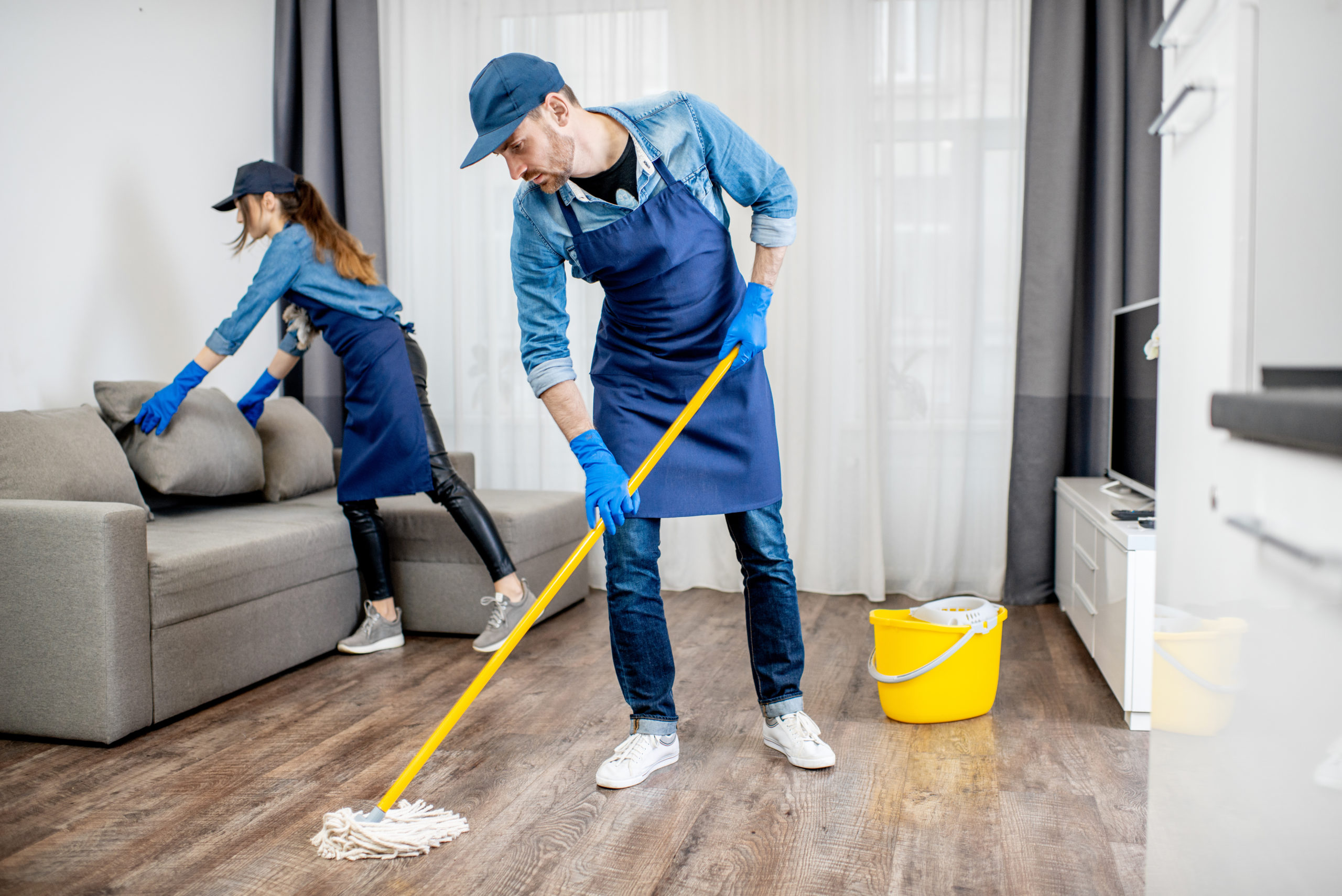 Mint Cleaning Services Inc. reviews