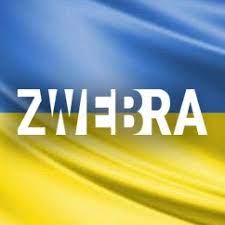 Zwebra Web Studio Inc. reviews