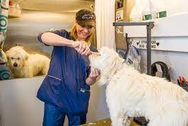 The Groom Room reviews