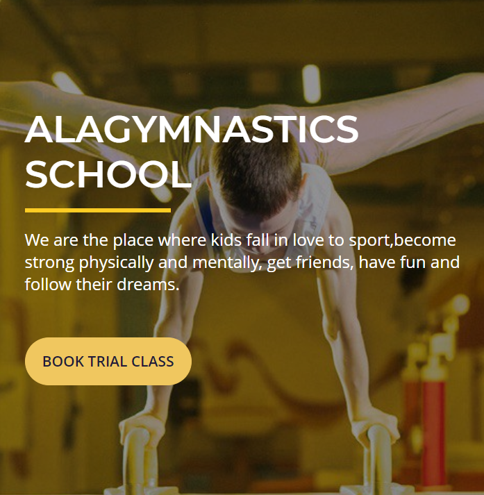 ALAGYMNASTICS reviews