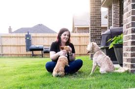 Cowtown Canines LLC reviews