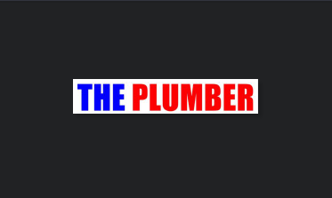 THE PLUMBER reviews