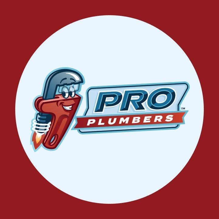 Pro Plumbers Inc Corona, CA reviews