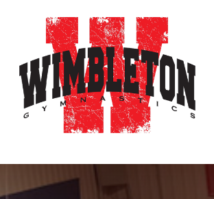 Wimbleton Gymnastics reviews