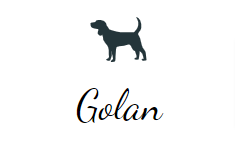 Golan Dogs reviews