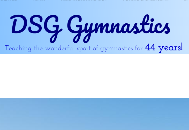 DSG Gymnastics reviews