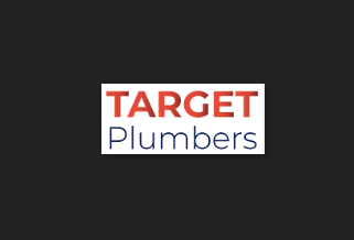 Target Plumber's reviews