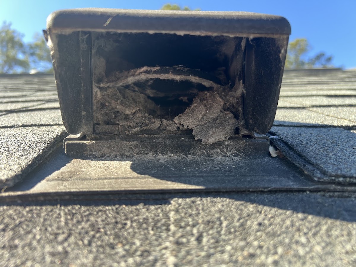 Mama Bear Dryer Vent Cleaning photo