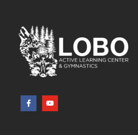 Lobo Active Learning Center & Gymnastics reviews