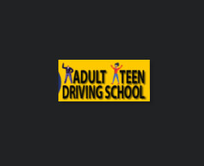 Adult Teen Driving School reviews