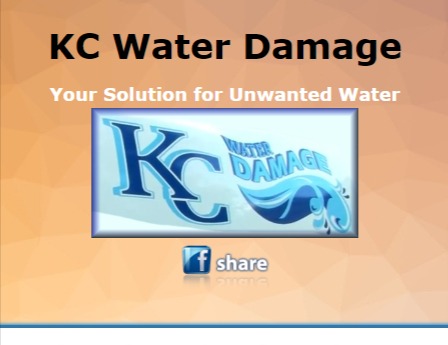 KCWaterDamage reviews