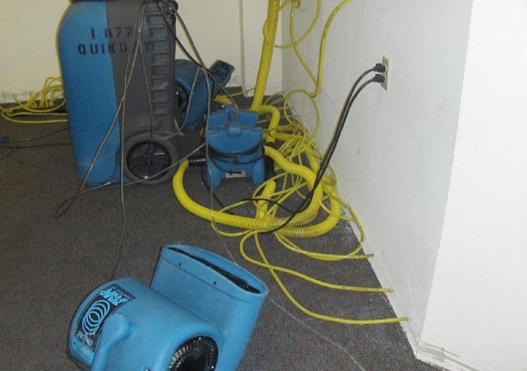 Royal Water Damage Repair Seattle reviews