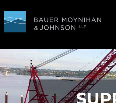Bauer Moynihan & Johnson LLP reviews