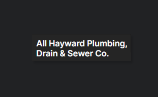 All Hayward Plumbing, Drain & Sewer Co. reviews