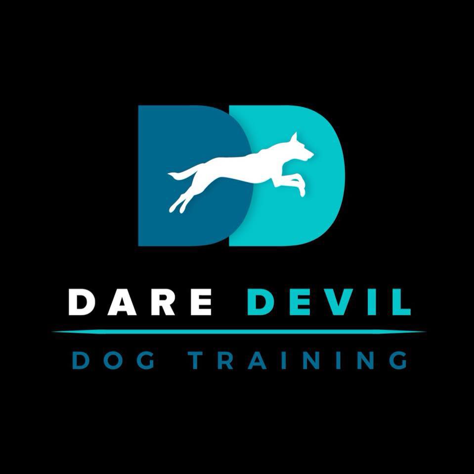 DareDevil Dog Training reviews