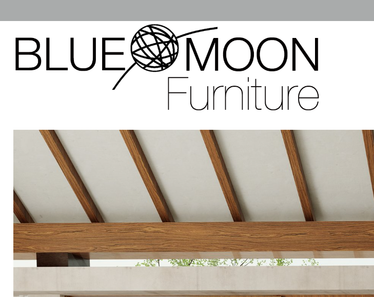 Blue Moon Furniture reviews