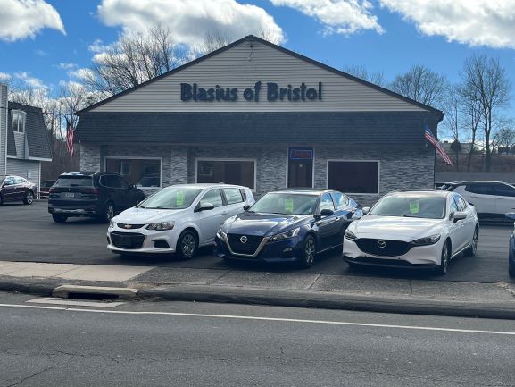 Blasius of Bristol reviews