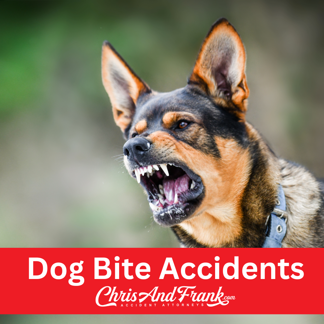 Chris and Frank Accident Attorneys photo