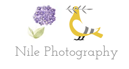 Nile Photography reviews