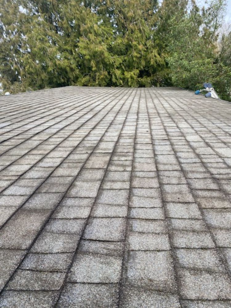 Crystal Clear Window And Gutter Cleaning photo