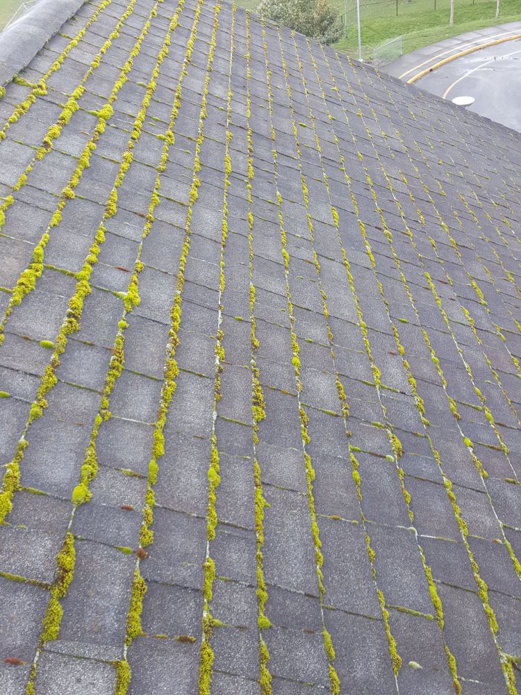 Crystal Clear Window And Gutter Cleaning photo