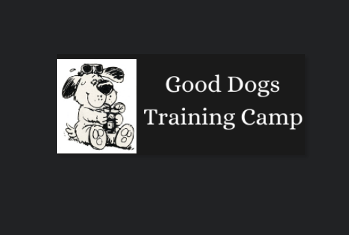 Good Dogs Training Camp reviews