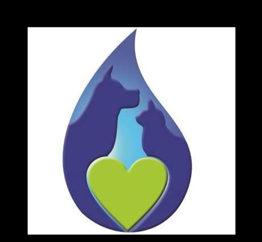 Eternal Waters Aquamation reviews