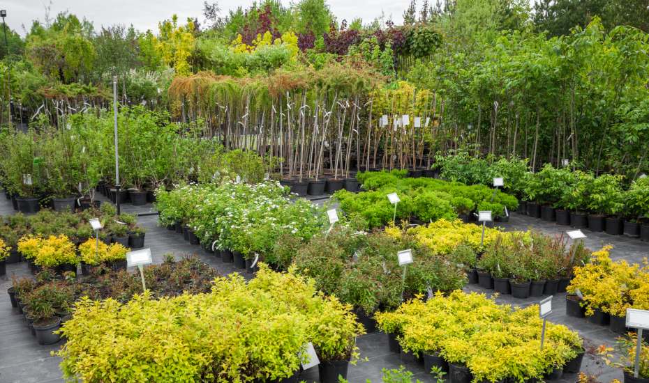 The Gras Shop reviews