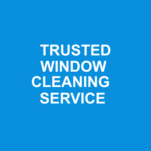 SeeyonClean Toronto reviews