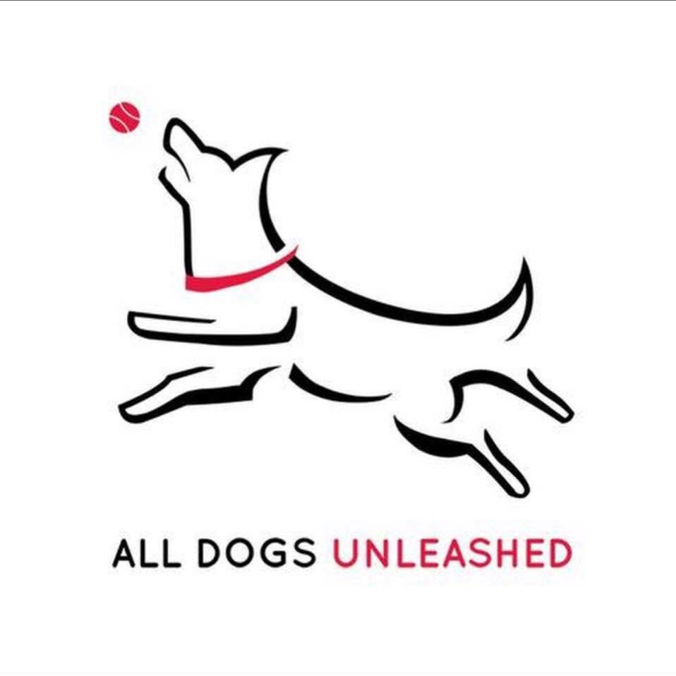 All Dogs Unleashed Dog Training Tampa photo
