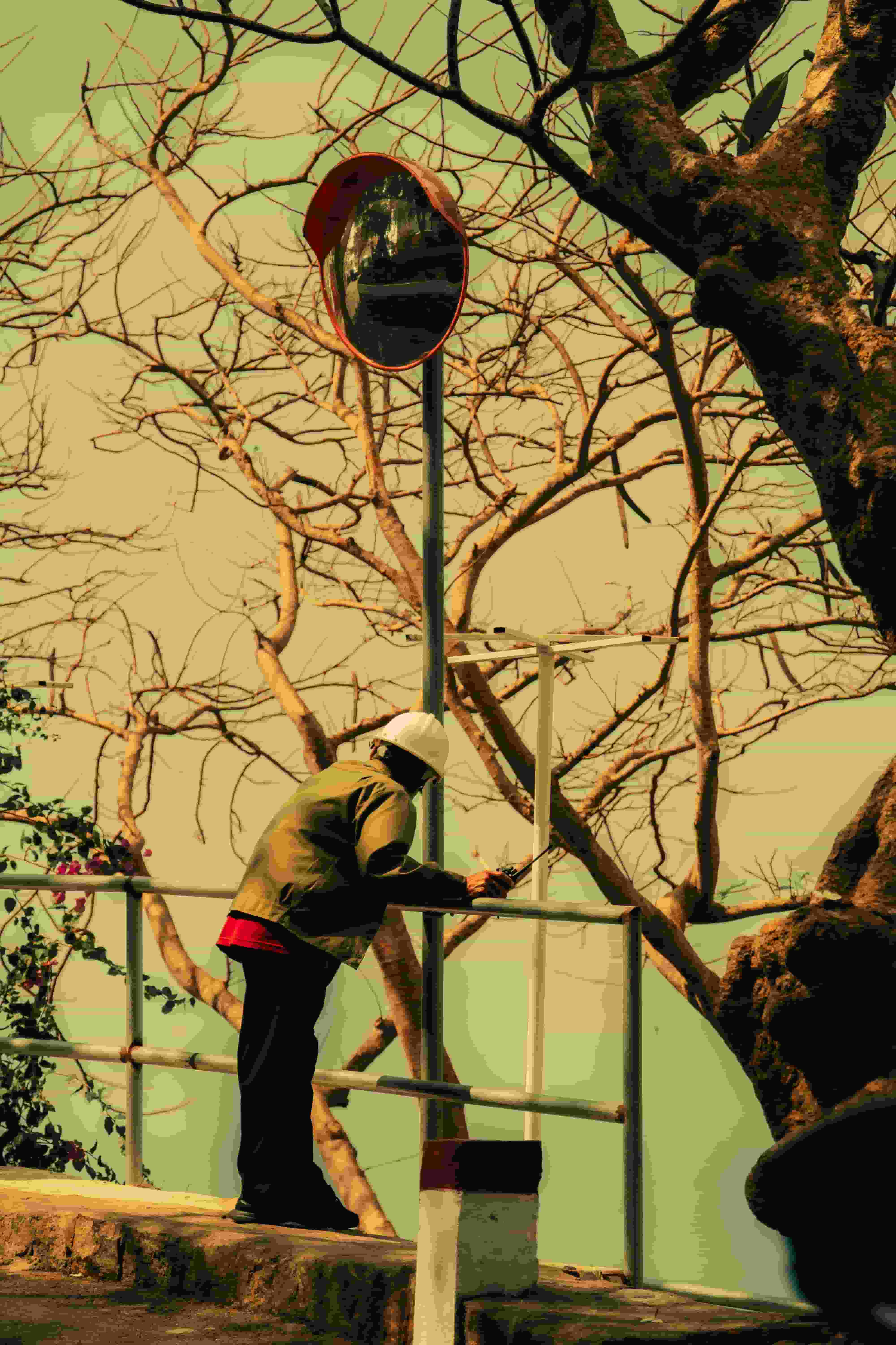 Heritage Tree Service photo