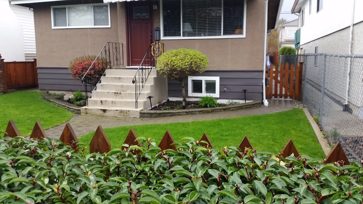 Blackbird Collective Inc. reviews