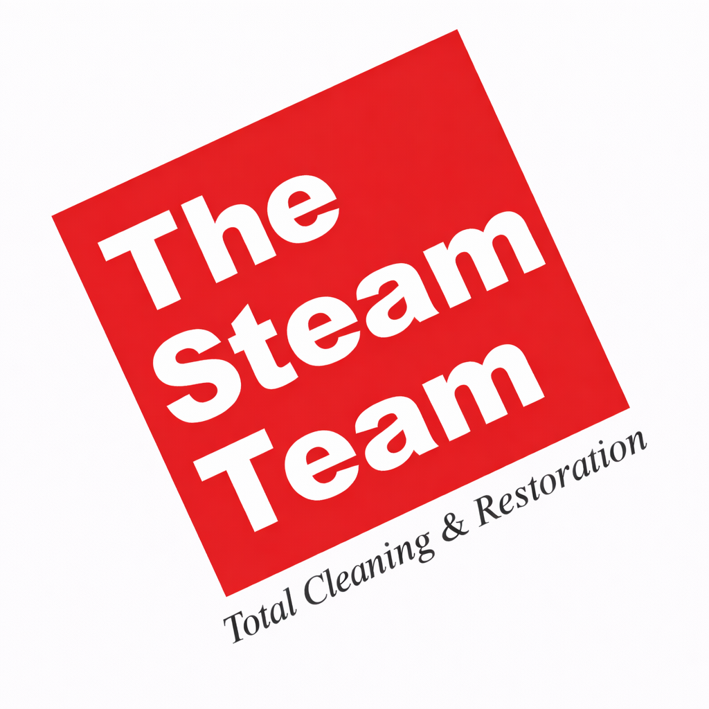 The Steam Team reviews