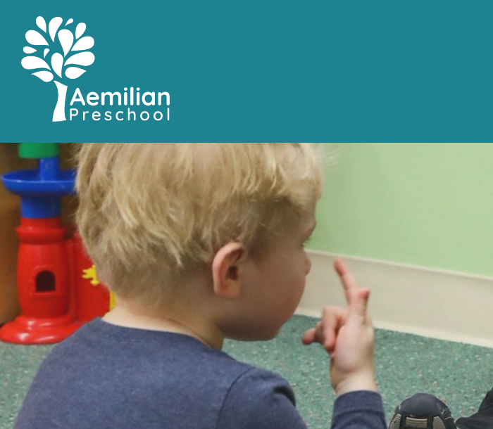 The Aemilian Preschool Inc reviews