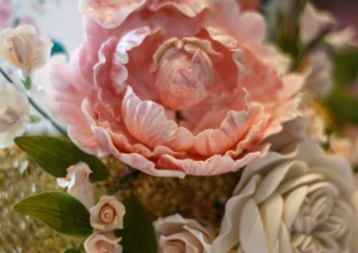 Jolly Photography reviews