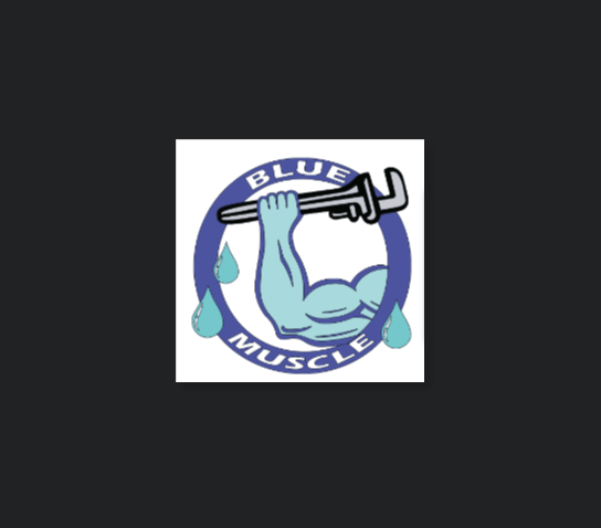 Blue Muscle Plumbing And Rooter Service reviews
