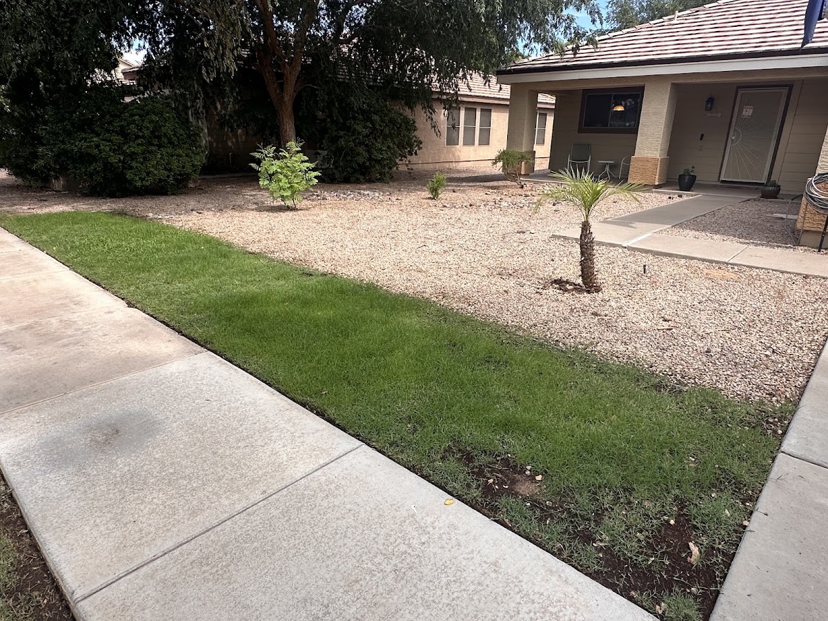 EcoGuard Pest Control photo