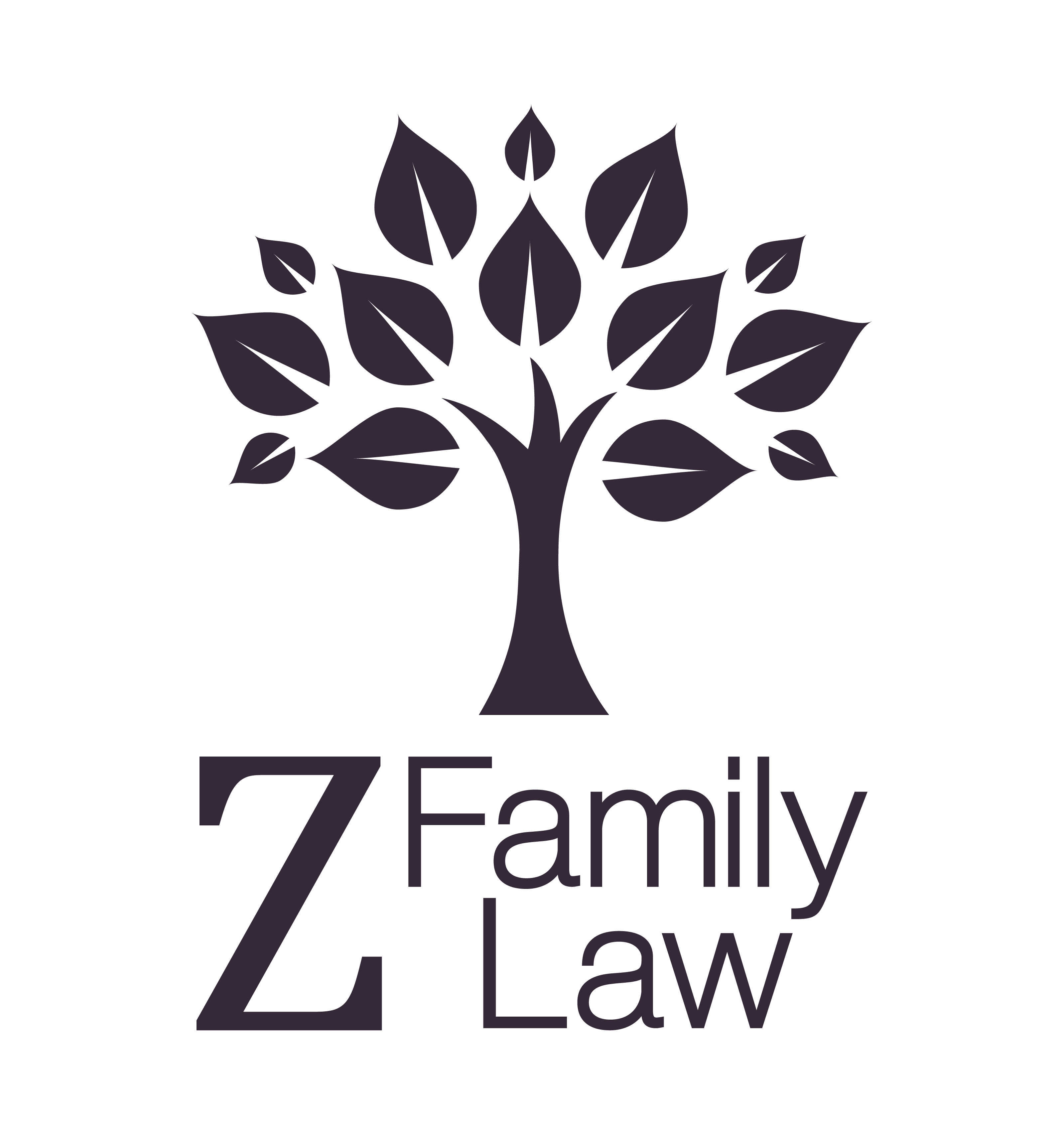 Z Family Law photo
