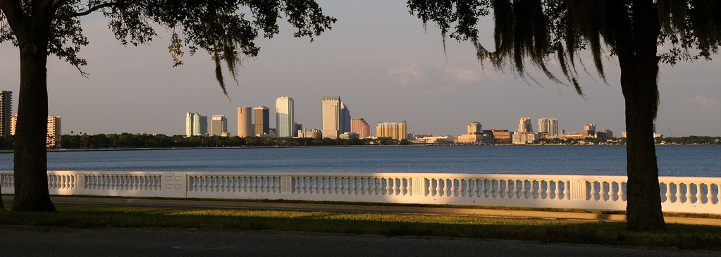 South Tampa Psychology reviews