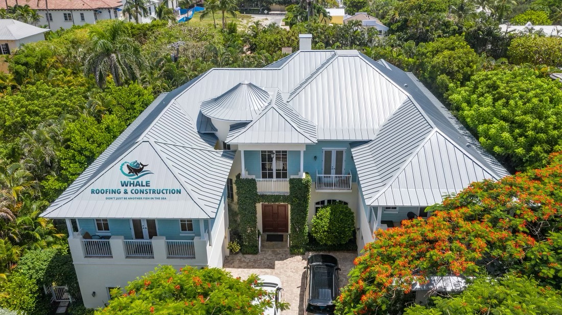 Whale Roofing & Construction reviews