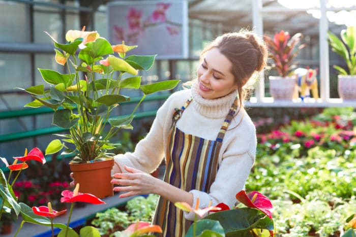 ⭐ Top 6 Gardeners in Boston - 5 Star Rated Near You On Map