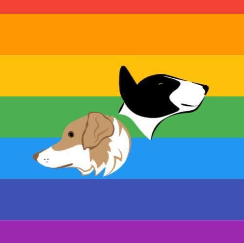 PAWSitively Happy Home reviews