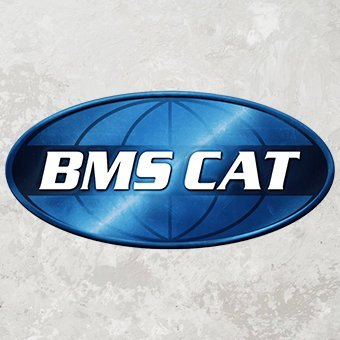 BMS CAT & Accent Property Restoration reviews