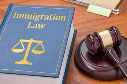 Maiona Ward Immigration Law reviews