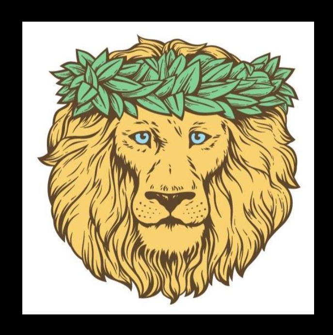 Lion Coffee / Lion Cafe and General Store reviews